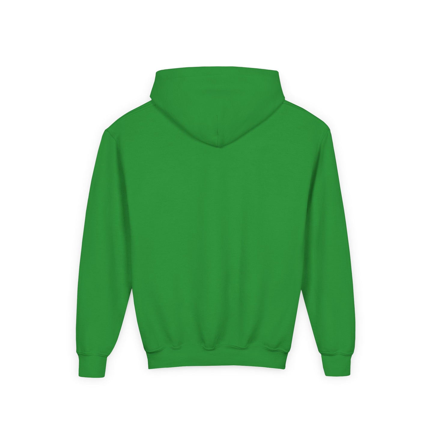 Youth Roarsome Dinosaur Hoodie