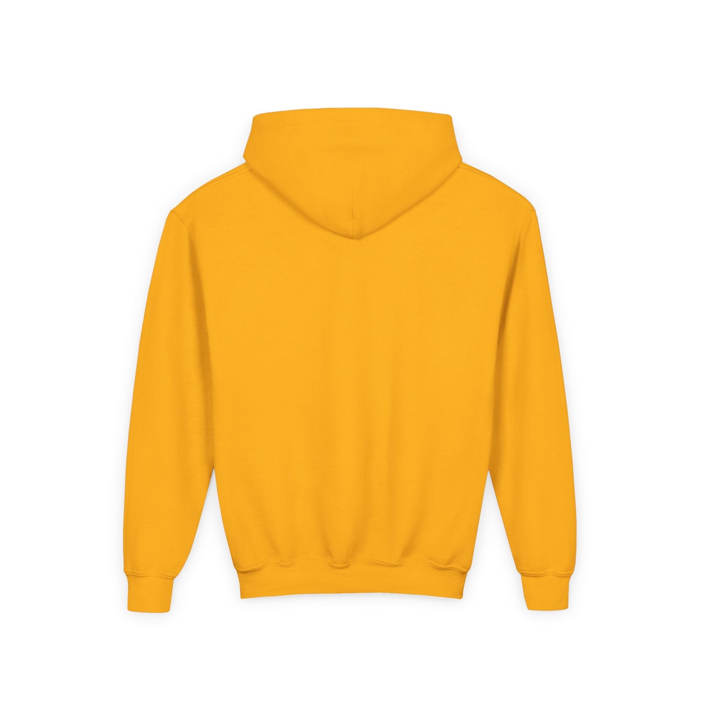Youth Roarsome Dinosaur Hoodie