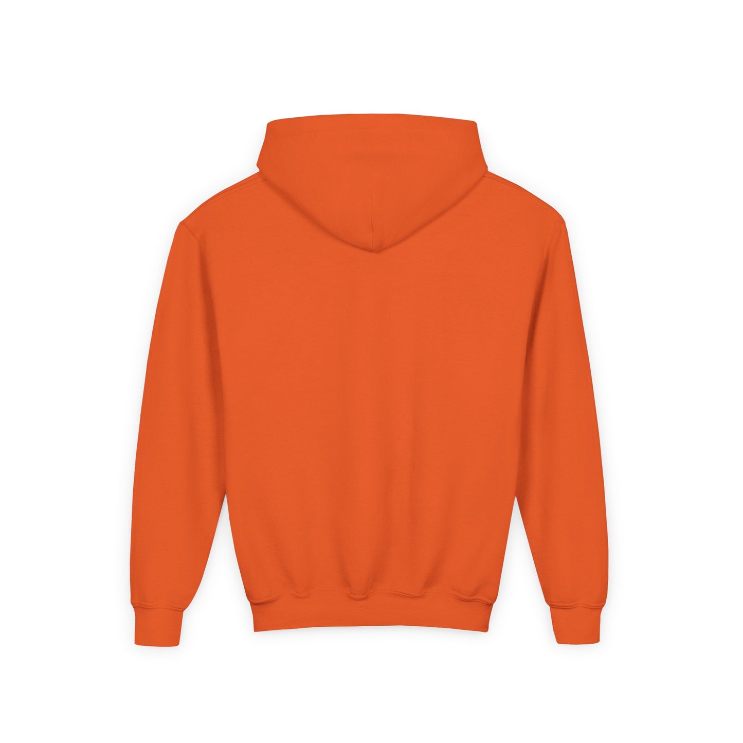 Youth Roarsome Dinosaur Hoodie
